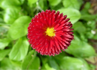 Foto's Meer rust en balans in Noardeast-Fryslân met CBD en natuurlijke supplementen door: 