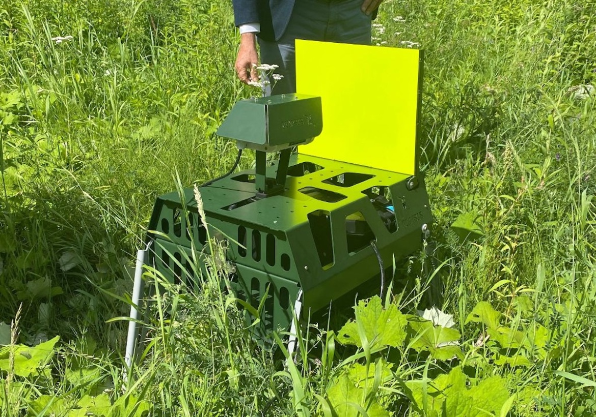 Insectencamera’s in Dokkum blijven wens voor de toekomst
